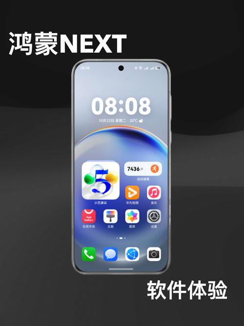 畅享20能升级鸿蒙系统吗，畅享20可以升级鸿蒙吗-第2张图片-优品飞百科