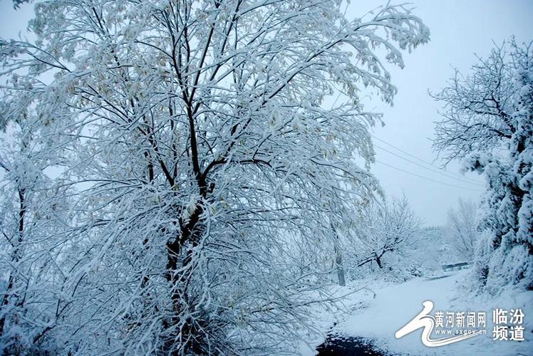 汾西天气预报？临汾天气预报？-第3张图片-优品飞百科