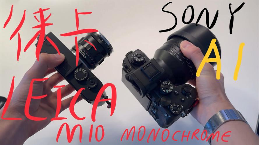 徕卡x113有德味吗，徕卡xu113？-第3张图片-优品飞百科