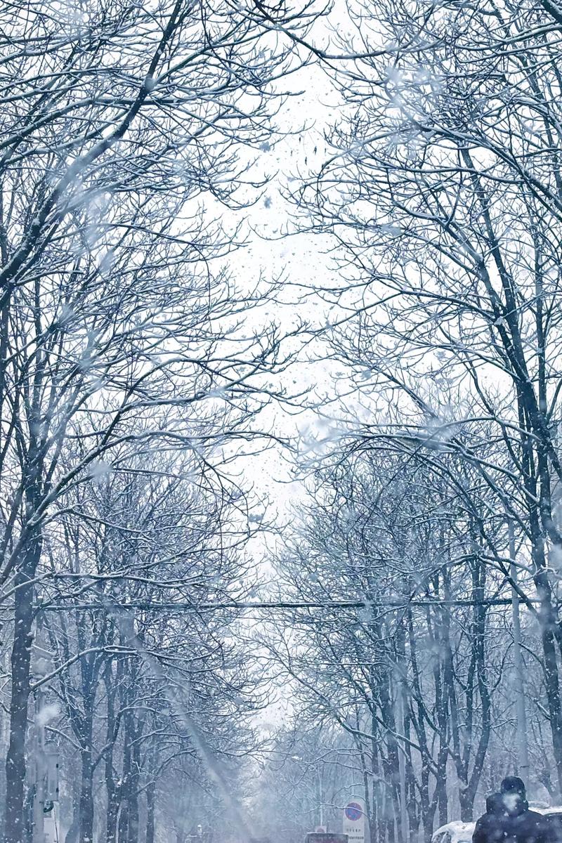 柯城天气预报？柯城天气预报30天？-第3张图片-优品飞百科