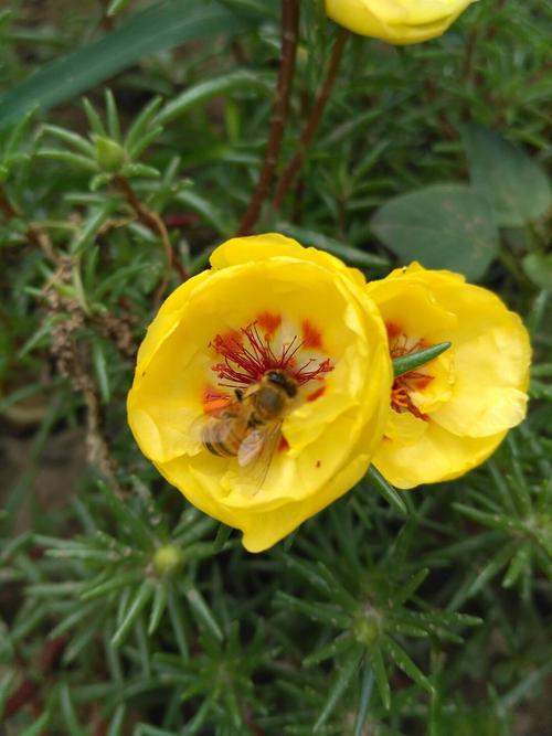 方山天气预报？吕梁方山天气预报？-第3张图片-优品飞百科