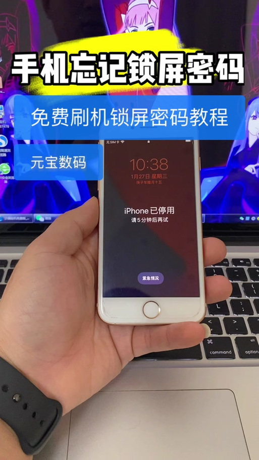 捡的苹果刷机一般多少钱，捡的苹果刷机一般多少钱一个-第1张图片-优品飞百科