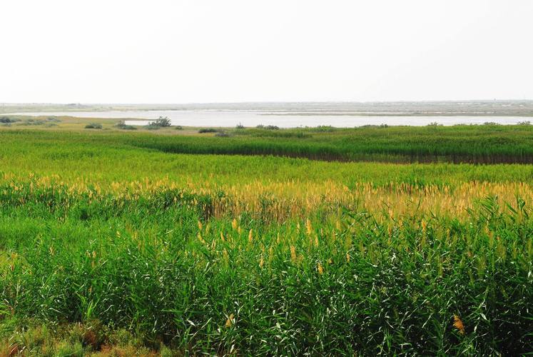 天气预报敦煌，天气预报敦煌莫高窟？-第5张图片-优品飞百科