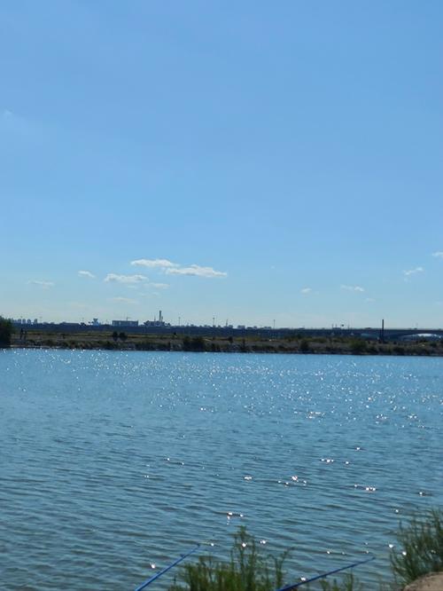 阳新一周天气预报，阳新最近一周天气预报-第4张图片-优品飞百科