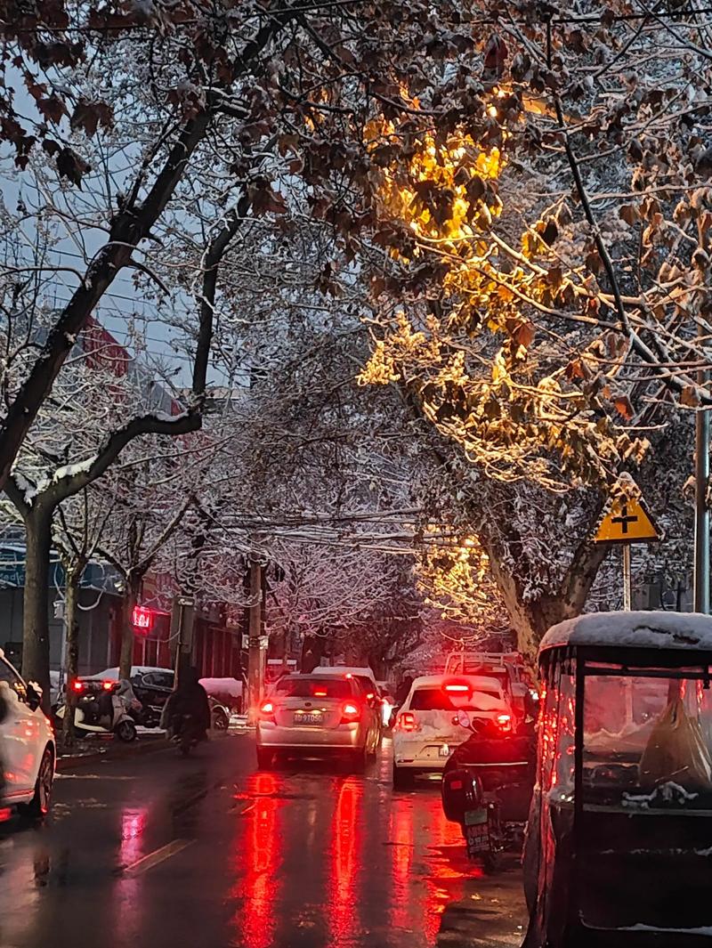 丛台区天气预报，我市将迎中到大雨降雨时间表来了-第2张图片-优品飞百科