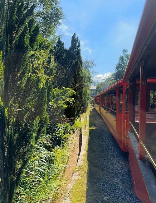 盐田天气预报，盐田天气预报查询一周15天？-第3张图片-优品飞百科