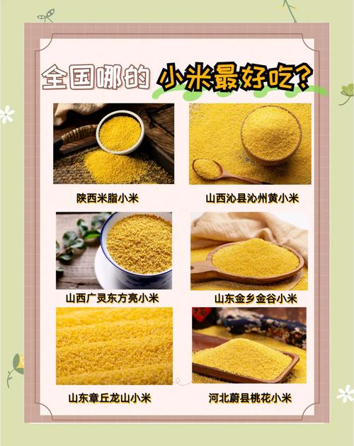 金乡小米费用多少一斤，金乡小米费用多少一斤啊