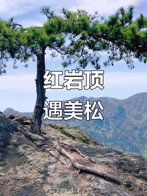 南尖岩天气预报，南尖岩海拔多少米-第4张图片-优品飞百科