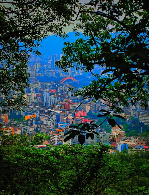 宜宾翠屏区天气预报？宜宾翠屏区天气预报15天查询今天？-第3张图片-优品飞百科