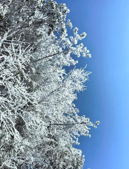 晋安区天气预报，晋安区天气预报最新？-第2张图片-优品飞百科