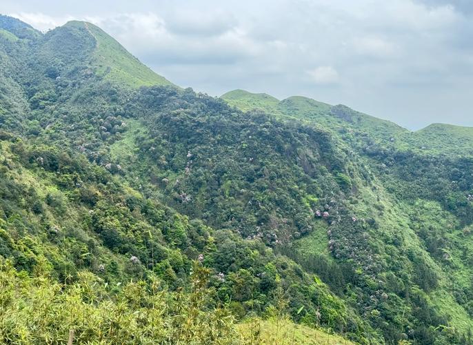 阳春天气预报，阳春河朗天气预报？-第3张图片-优品飞百科