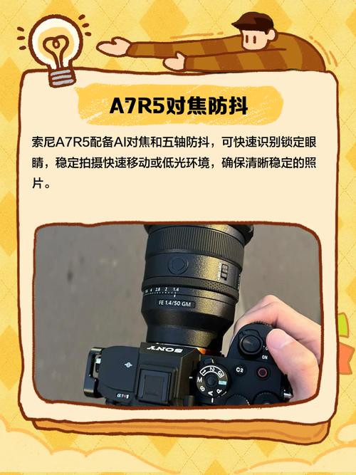 佳能微单r5和r6的区别，佳能微单r与r6谁更值得拥有-第4张图片-优品飞百科