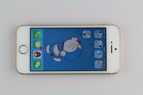 电信版iphone5s如何支持电信4g，iphone5s电信版怎么开4g网络？-第3张图片-优品飞百科