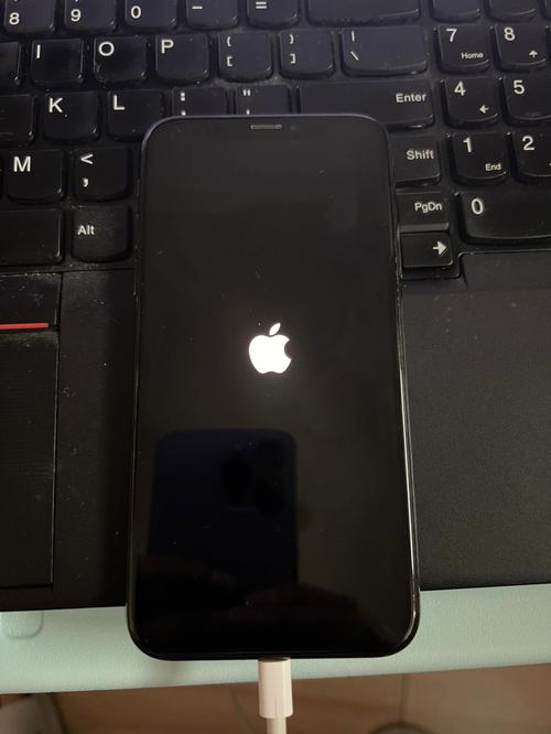 苹果11白苹果怎么修复？苹果11白苹果的简单修复方法？-第3张图片-优品飞百科