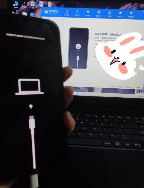 苹果11白苹果怎么修复？苹果11白苹果的简单修复方法？-第4张图片-优品飞百科