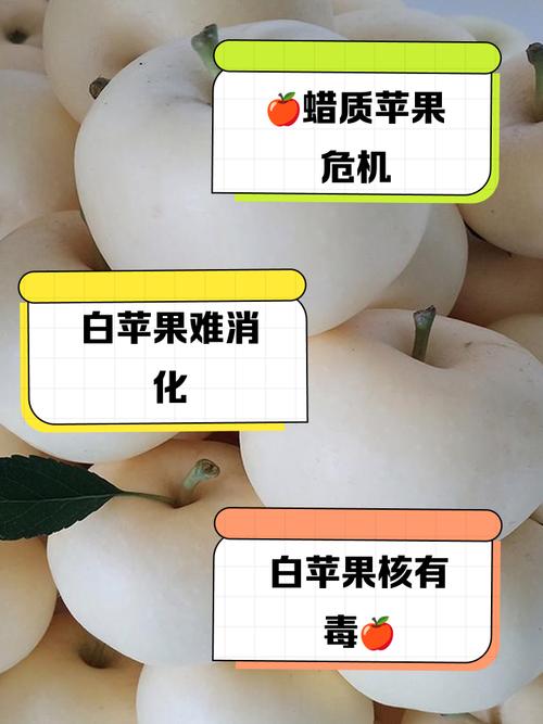 苹果11白苹果怎么修复？苹果11白苹果的简单修复方法？-第6张图片-优品飞百科