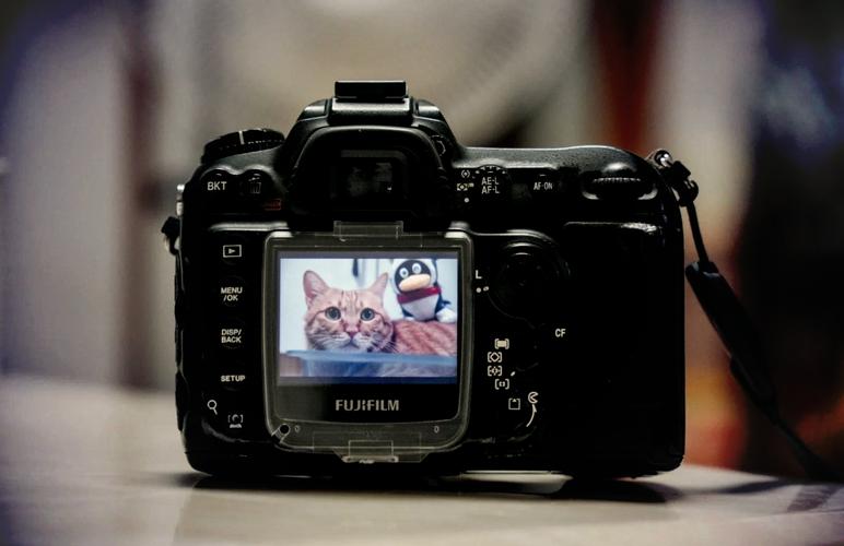 富士s5000相机怎么样，富士s5000相机效果图？-第1张图片-优品飞百科