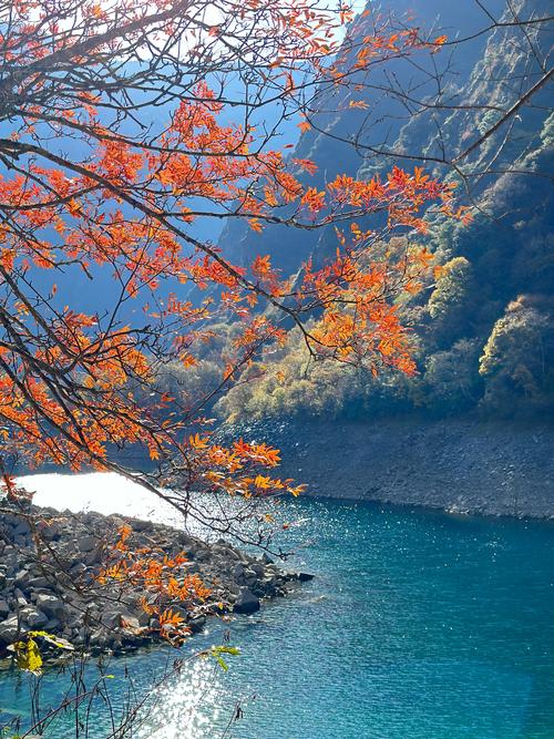 松坪沟天气预报15天，四川松坪沟风景区天气预报？-第1张图片-优品飞百科