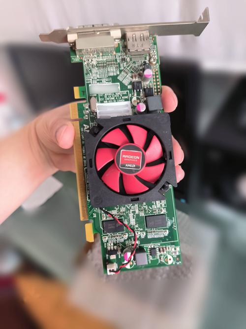 hd6450显卡gt730哪个好的简单介绍-第4张图片-优品飞百科