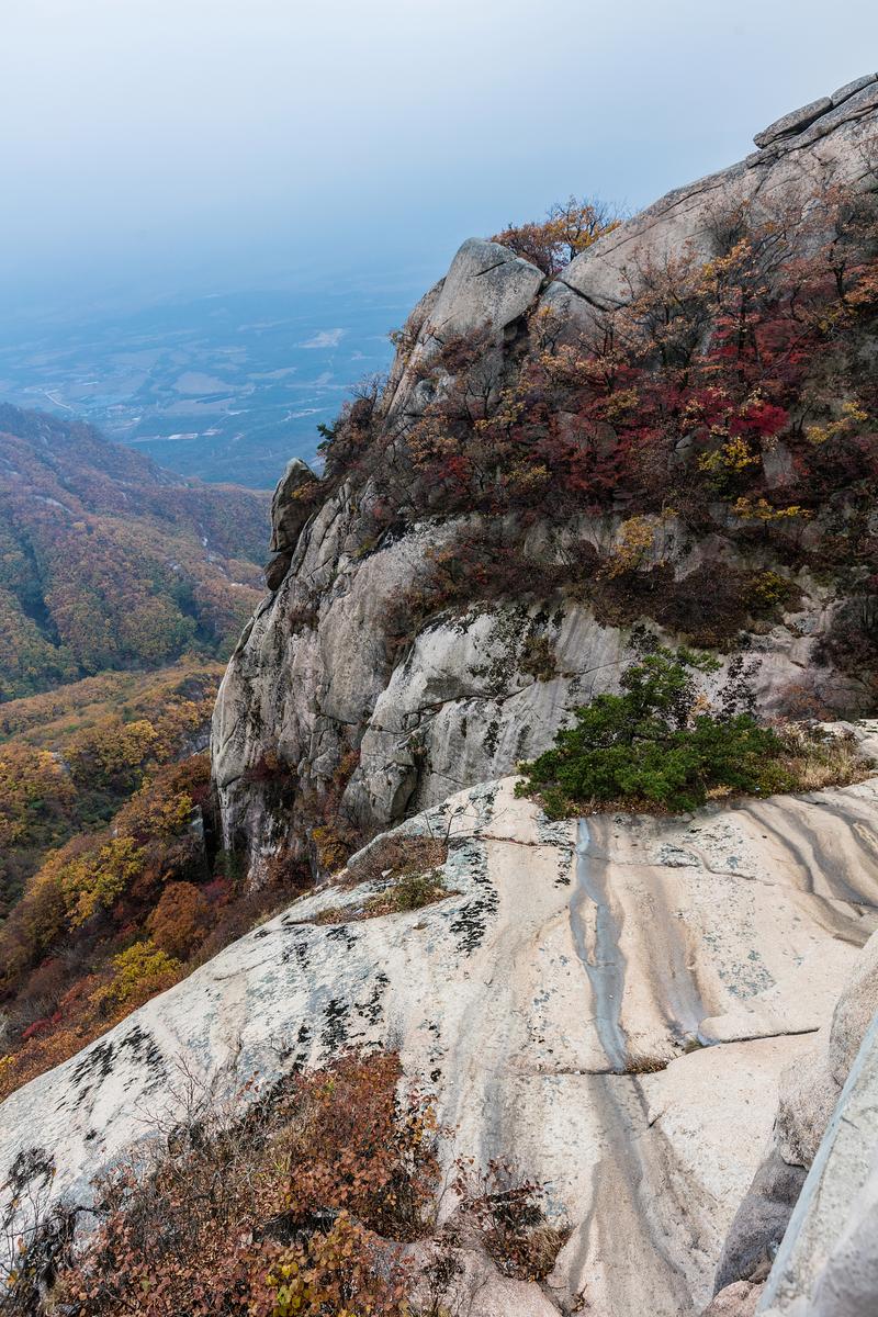 营口盖州天气预报，营口市盖州天气-第4张图片-优品飞百科