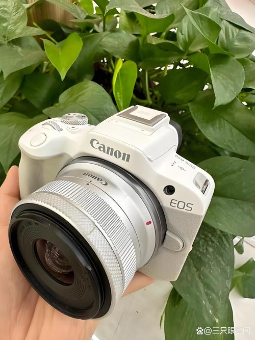 佳能通用镜头推荐，佳能镜头适合所有佳能相机吗？-第2张图片-优品飞百科