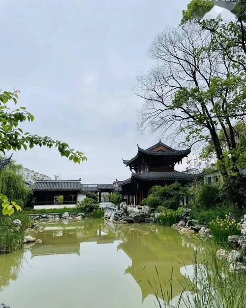 桐城市天气预报，桐城天气预报30天准确 一个月？