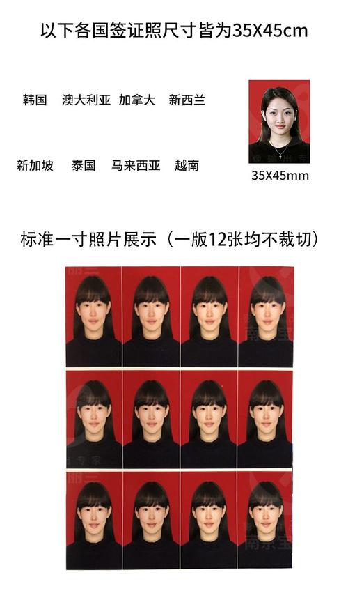 相片打印机和普通打印机区别，相片打印机好吗-第5张图片-优品飞百科