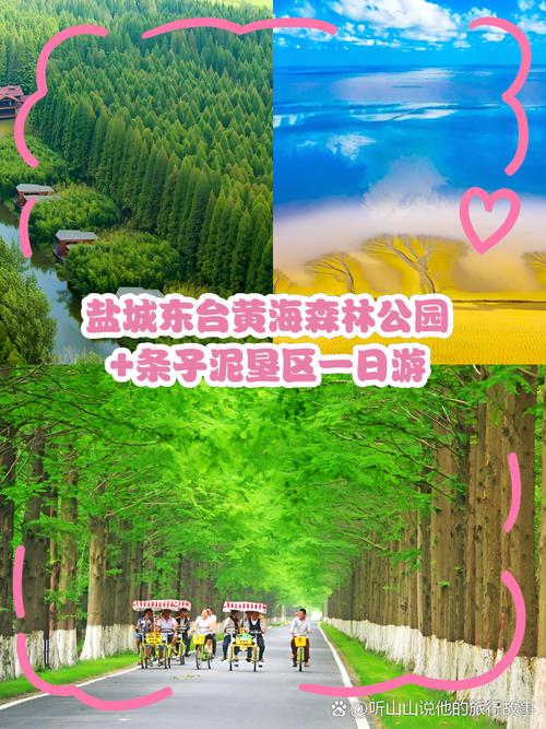 东台市天气预报？东台市天气预报15天查询？