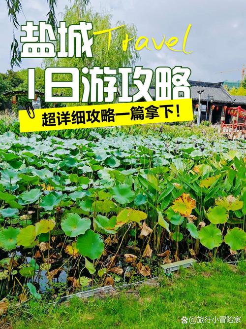 东台市天气预报？东台市天气预报15天查询？-第3张图片-优品飞百科