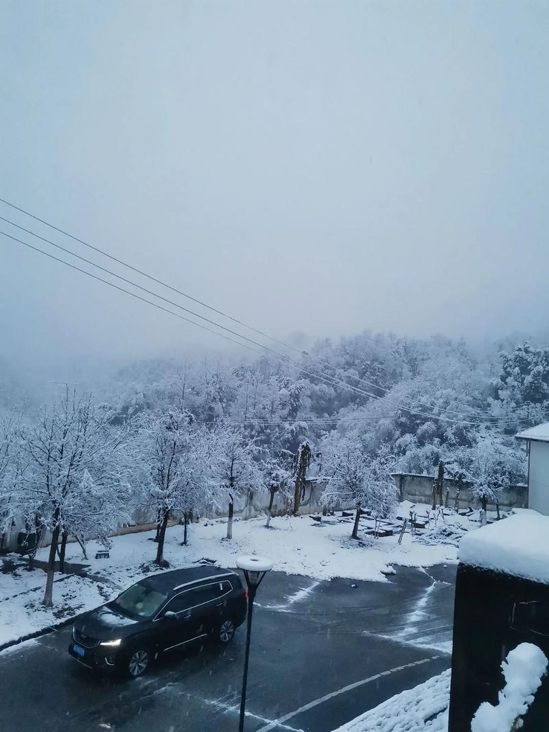 泽雅天气预报？泽雅天气预报三天？-第3张图片-优品飞百科