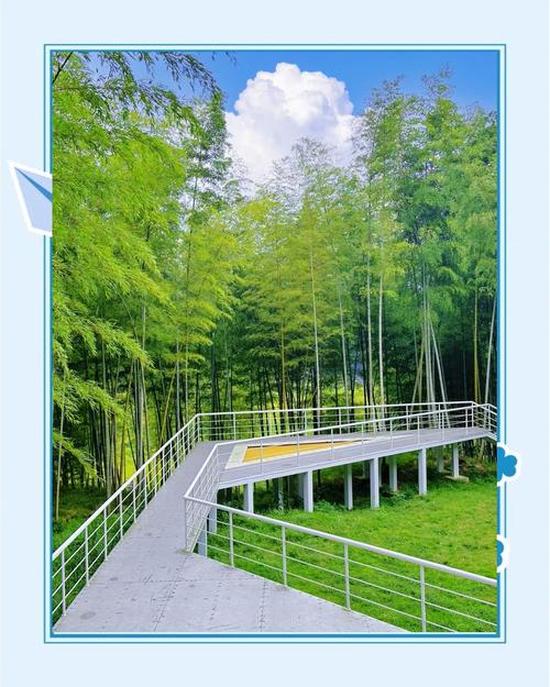 泽雅天气预报？泽雅天气预报三天？-第6张图片-优品飞百科