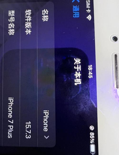 苹果7plus怎么更新ios16，苹果7plus怎么更新ios15？-第5张图片-优品飞百科