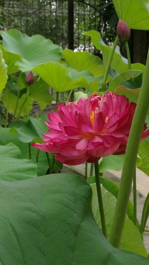 灌南一周天气预报？灌南天气预报30天预报？-第6张图片-优品飞百科