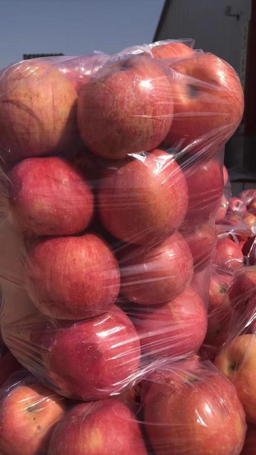 凤山县天气预报?凤山县天气预报30天查询结果表?-第6张图片-优品飞百科 凤山县天气预报?凤山县天气预报30天查询结果表?-第6张图片-优品飞百科