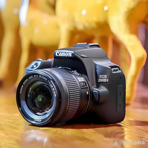 佳能单反相机入门款推荐，佳能入门单反大全？-第3张图片-优品飞百科