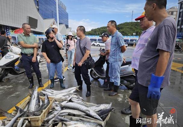 石狮天气预报，石狮天气预报24小时-第1张图片-优品飞百科