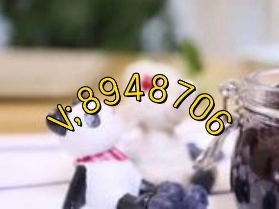 
 实测辅助wepoker透视外挂”详细开挂玩法是真的吗作为一款备受欢迎的扑克类游戏，其玩法不仅考验玩家的技术水平，也考察心理素质。游戏中，玩家需要在有限的信息下做出决策，而这一点正是让游戏充满挑战的地方。然而，一些玩家为了轻松获胜，选择了通过外挂软件来作弊，这种行为严重破坏了游戏的公平性，影响了其他玩家的体验。优先免费测试效果直接搜索微信：39211237
