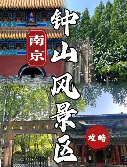 包含贺州钟山天气预报的词条-第2张图片-优品飞百科