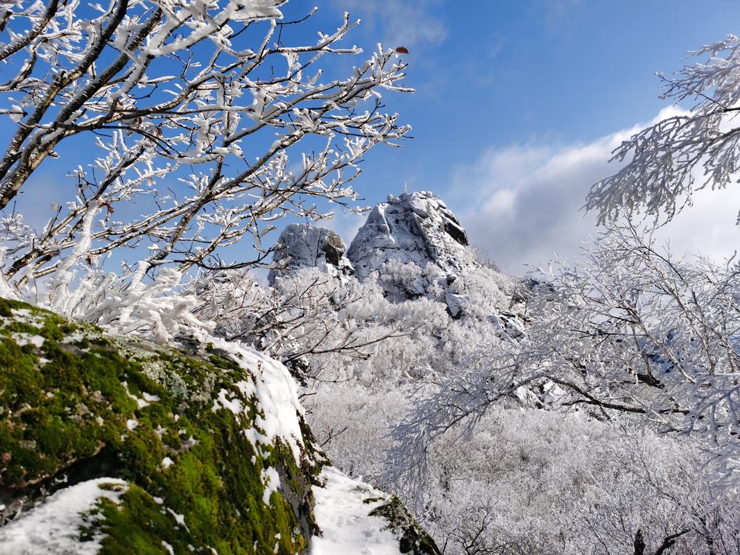 集贤县天气预报？黑龙江省集贤县天气预报？-第3张图片-优品飞百科