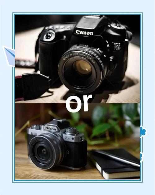 新手适合买单反吗，适合新手的单反有哪些？-第2张图片-优品飞百科