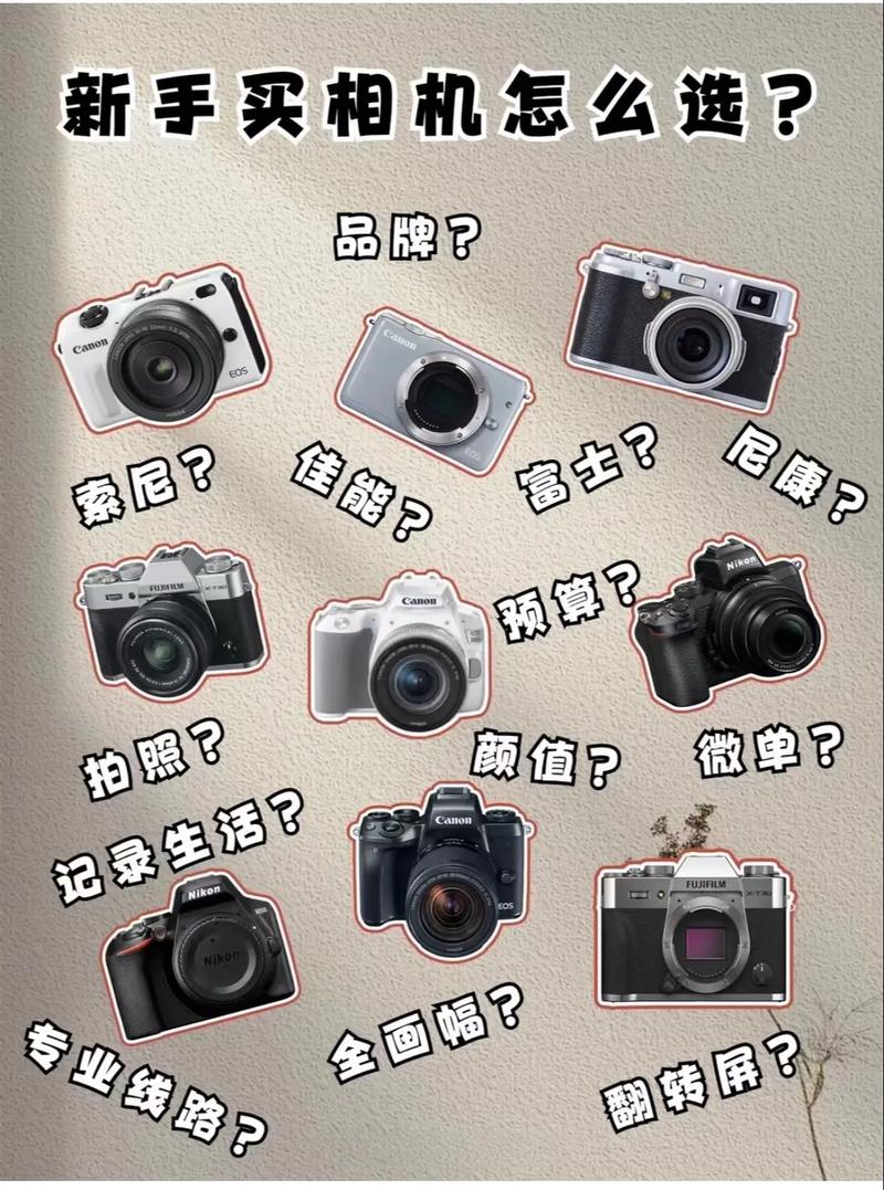 新手适合买单反吗，适合新手的单反有哪些？-第3张图片-优品飞百科
