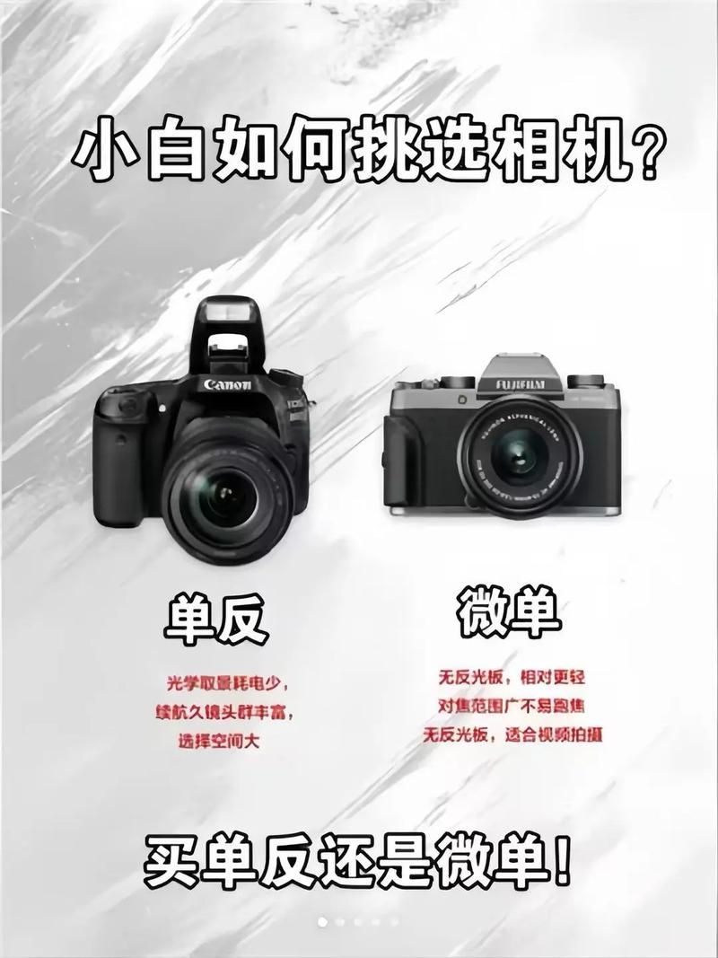 新手适合买单反吗，适合新手的单反有哪些？-第5张图片-优品飞百科