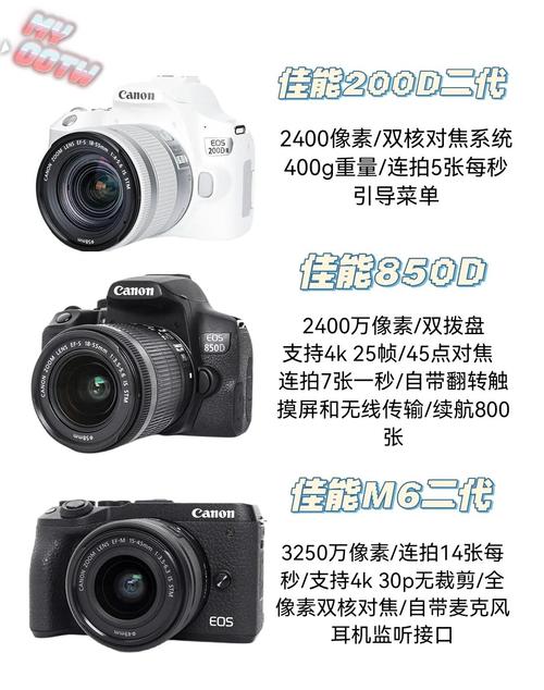 新手适合买单反吗，适合新手的单反有哪些？-第6张图片-优品飞百科