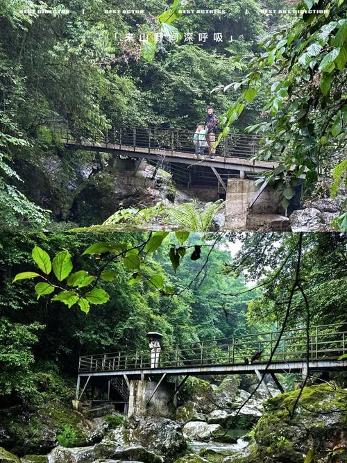 雅安市名山区天气预报，雅安市名山区天气预报十五天-第4张图片-优品飞百科