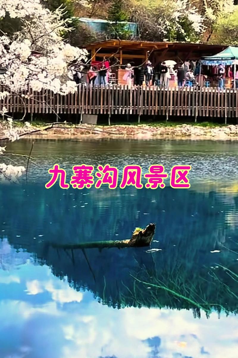 朔州市朔城区天气预报？山西朔州市朔城区天气预报？-第1张图片-优品飞百科