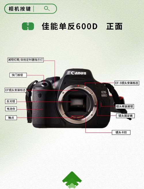 佳能600d首发价，佳能600d啥时候出的？-第2张图片-优品飞百科