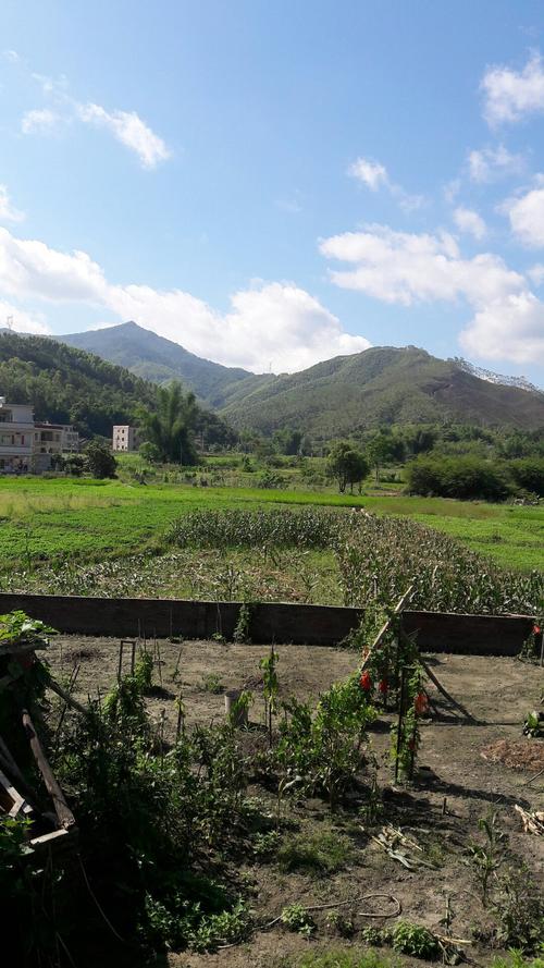 蓝塘天气预报？蓝天凹天气预报？-第1张图片-优品飞百科