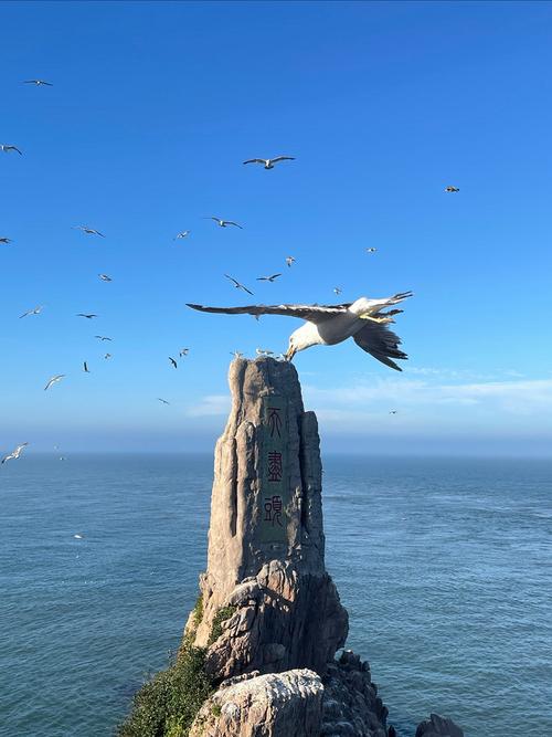 海港天气预报，唐山海港天气预报-第2张图片-优品飞百科