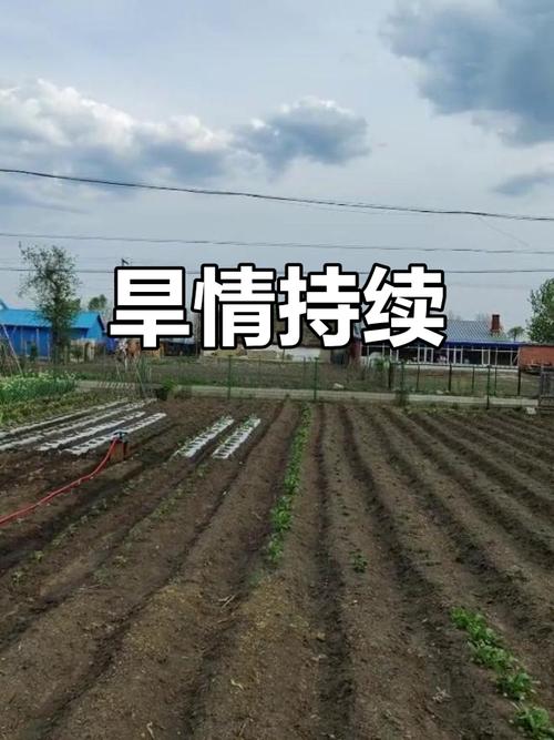 拜泉天气预报,哈尔滨天气预报?-第4张图片-优品飞百科 拜泉天气预报,哈尔滨天气预报?-第4张图片-优品飞百科