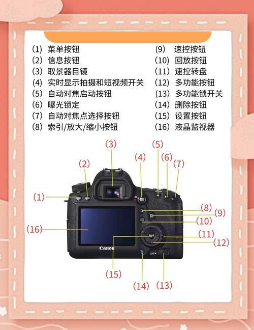 佳能5ds能使用截幅镜头吗？佳能5ds对镜头要求高吗？-第4张图片-优品飞百科